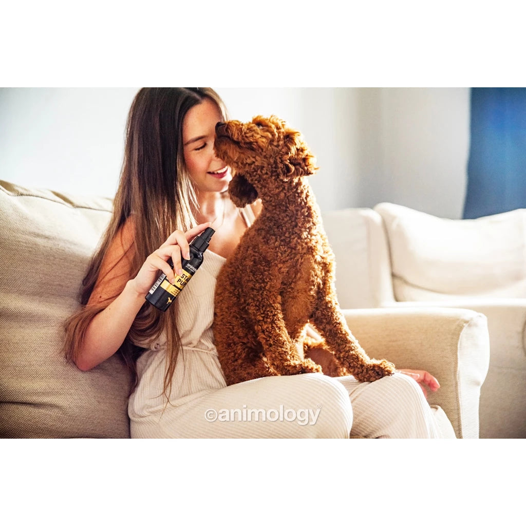Animology Star Pups karvkatte sprei-parfüüm, 150 ml