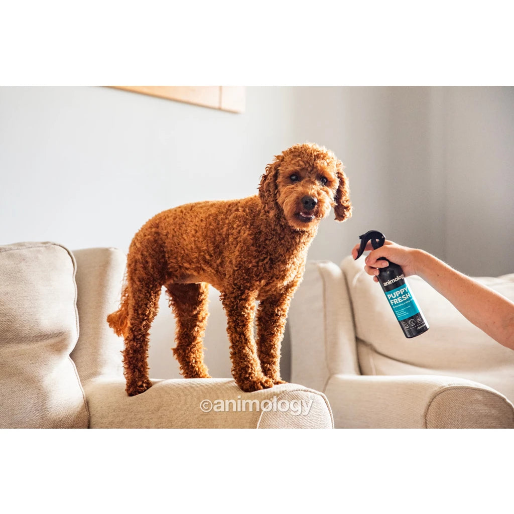 Animology Puppy Fresh dezodoruojantis mažų šuniukų kondicionierius (250ml)