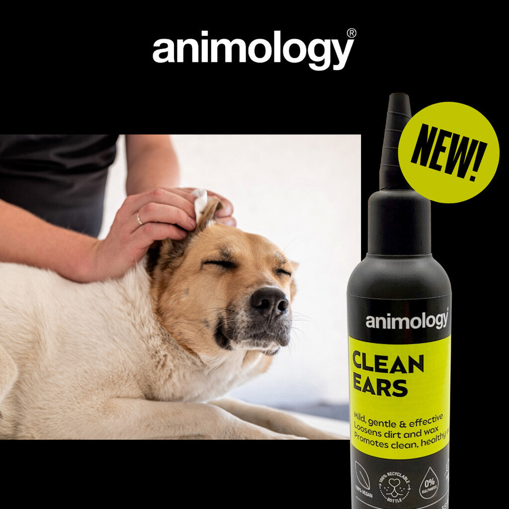 Animology ausų valymo skystis, 100 ml