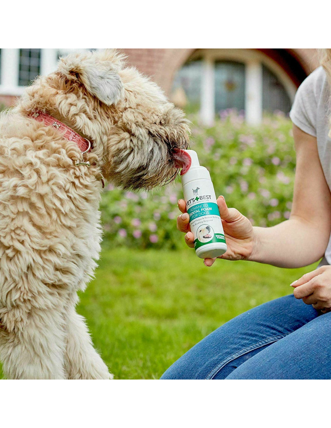 VET'S BEST DANTŲ VALYMO PUTOS, 150ml