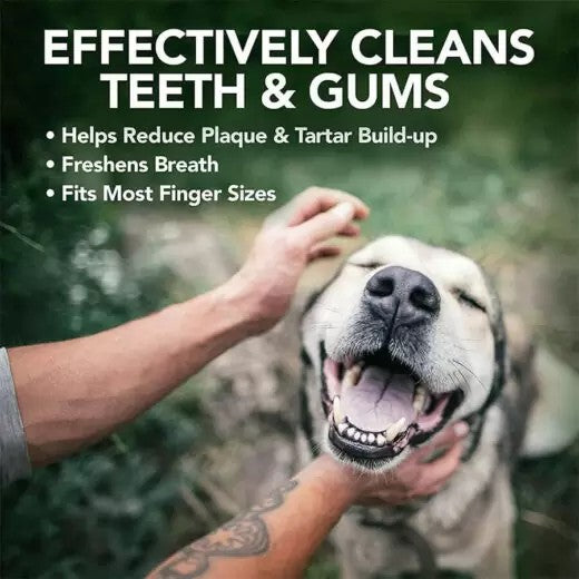 VET‘S BEST CLEAN TEETH DANTŲ VALYMO SERVETĖLĖS, 50 vnt.